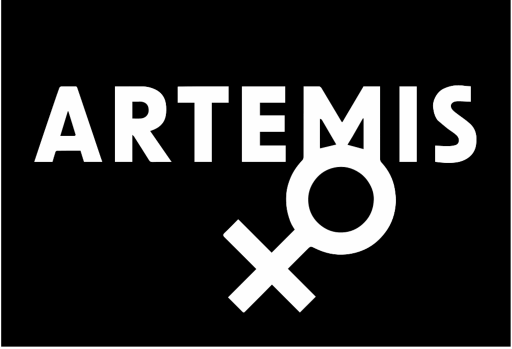 Artemis X